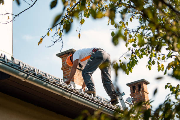 Best Shingle Roofing Installation  in Lakes Of The Four Seasons, IN